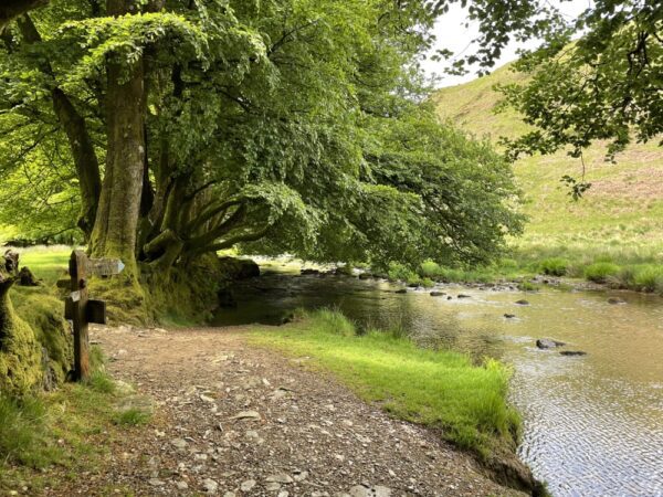 Dartmoor walk3