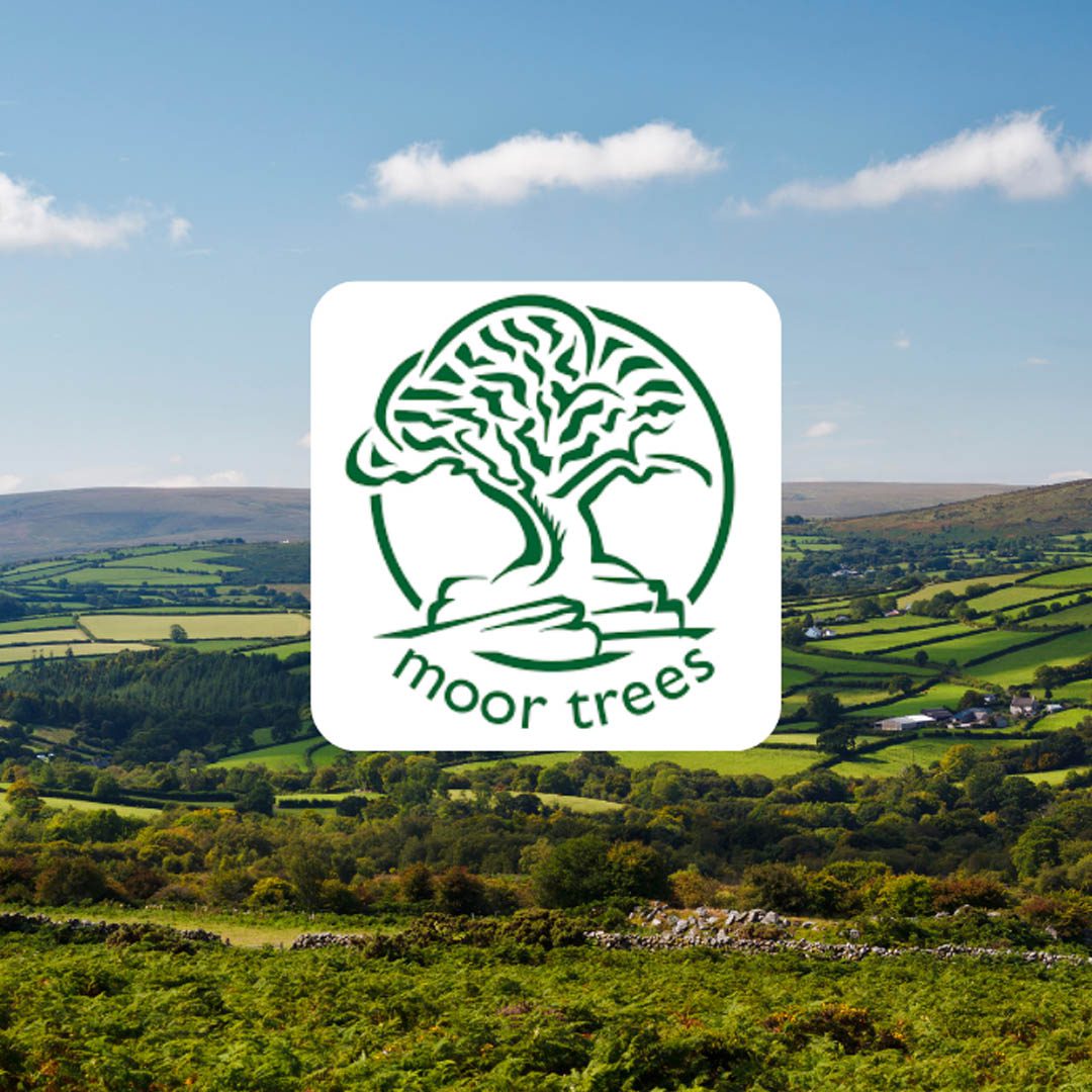 IMC134: Restoring Native Woodlands with Moor Trees